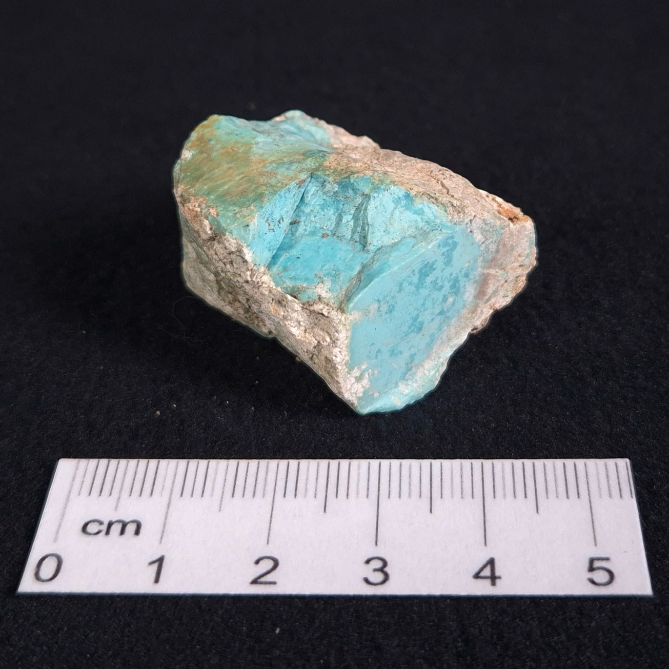 Turquoise Rough from Ammaroo, NT, Australia XTQ002