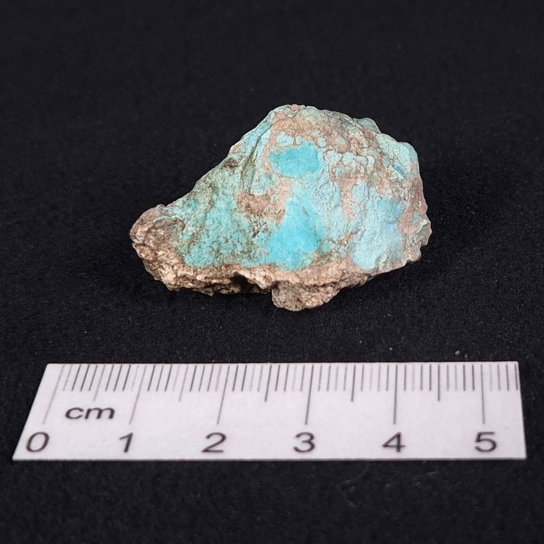 Turquoise Rough from Ammaroo XTQ004