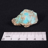 TURQUOISE, Australia XTQ004