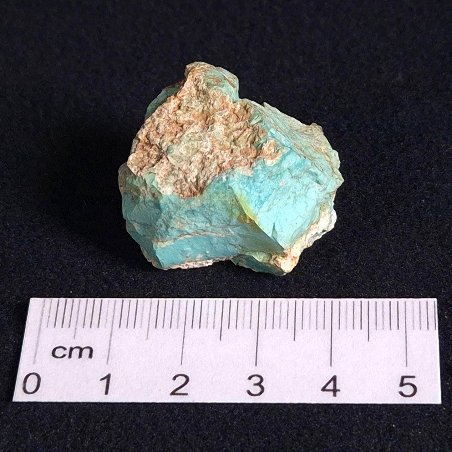 Turquoise Rough from Ammaroo XTQ005