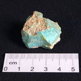 TURQUOISE, Australia XTQ005
