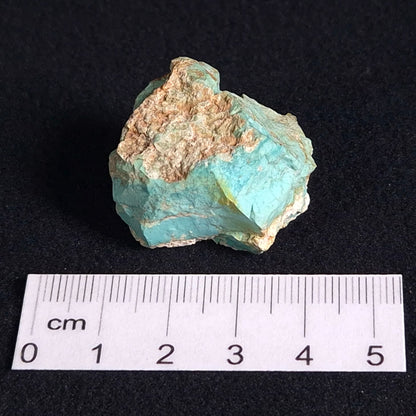 Turquoise Rough from Ammaroo XTQ005