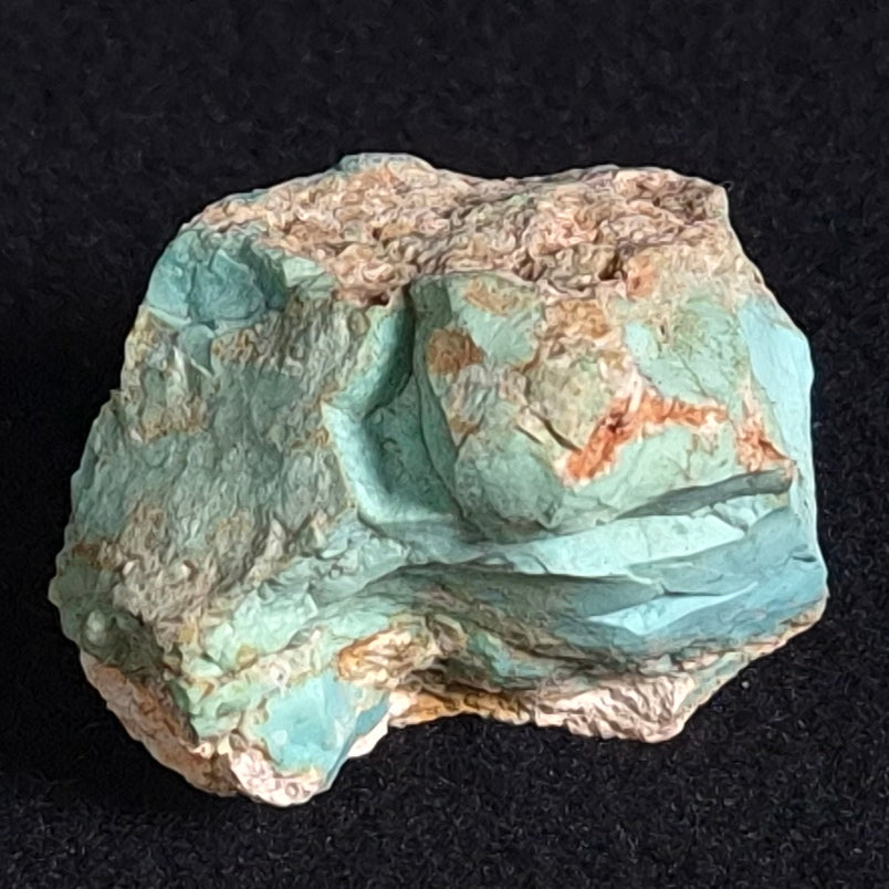 Turquoise Rough from Ammaroo XTQ005