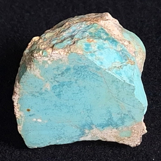 Turquoise Rough from Ammaroo XTQ006