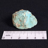 TURQUOISE, Australia XTQ007