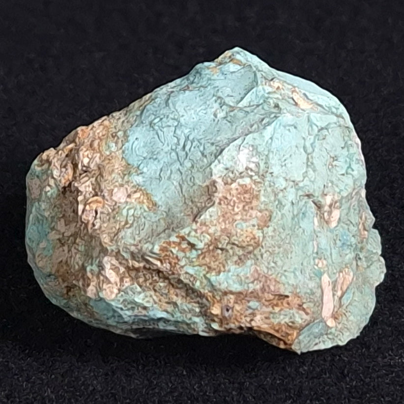 TURQUOISE, Australia XTQ007