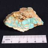TURQUOISE, Australia XTQ008