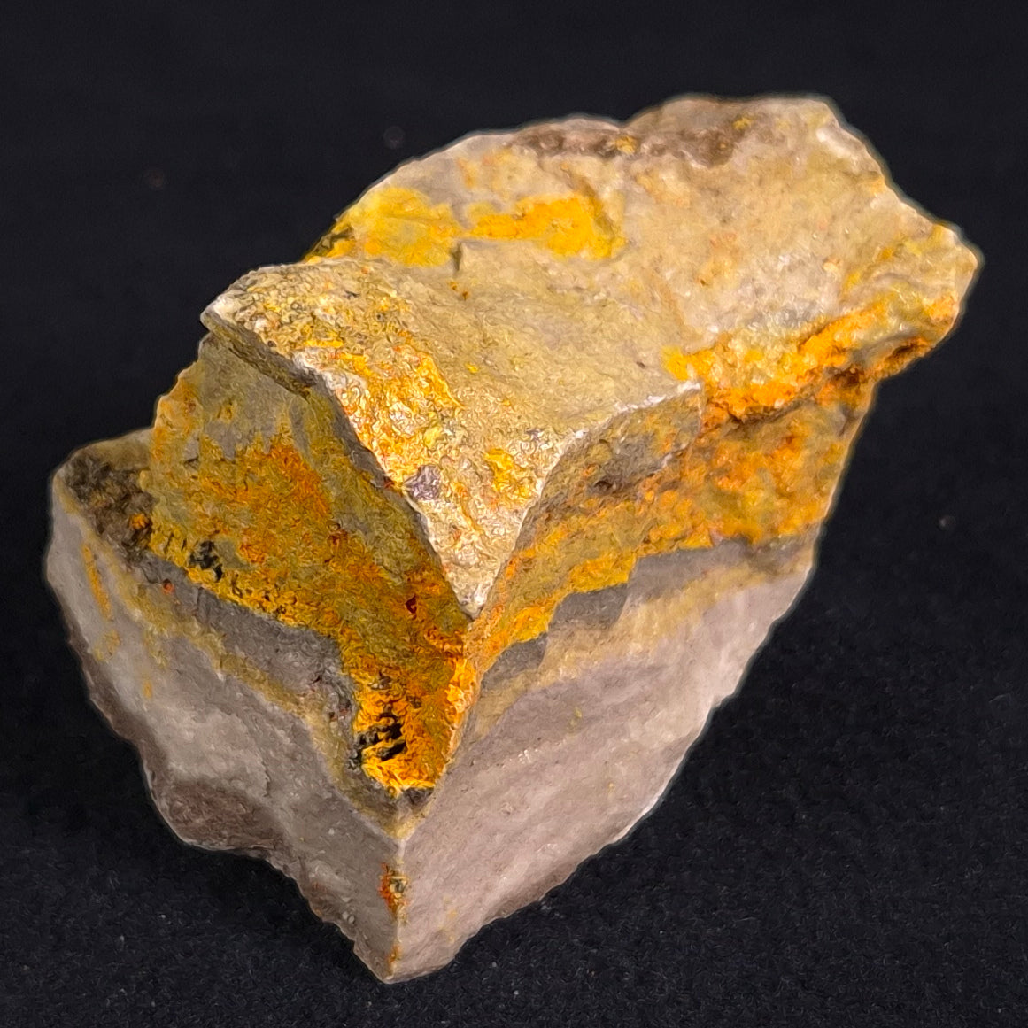 BUMBLEBEE JASPER, Indonesia XBJ001