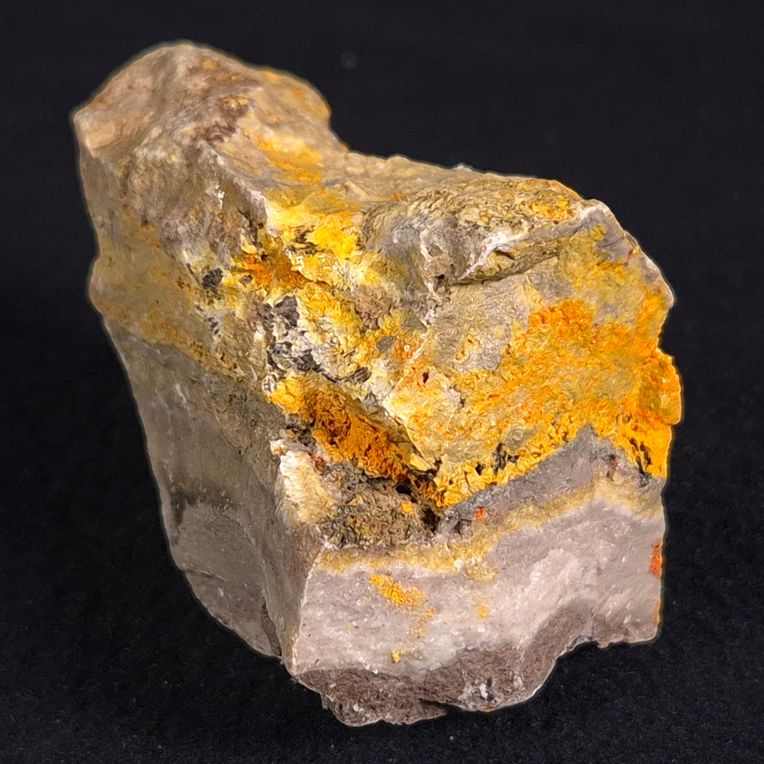 BUMBLEBEE JASPER, Indonesia XBJ001