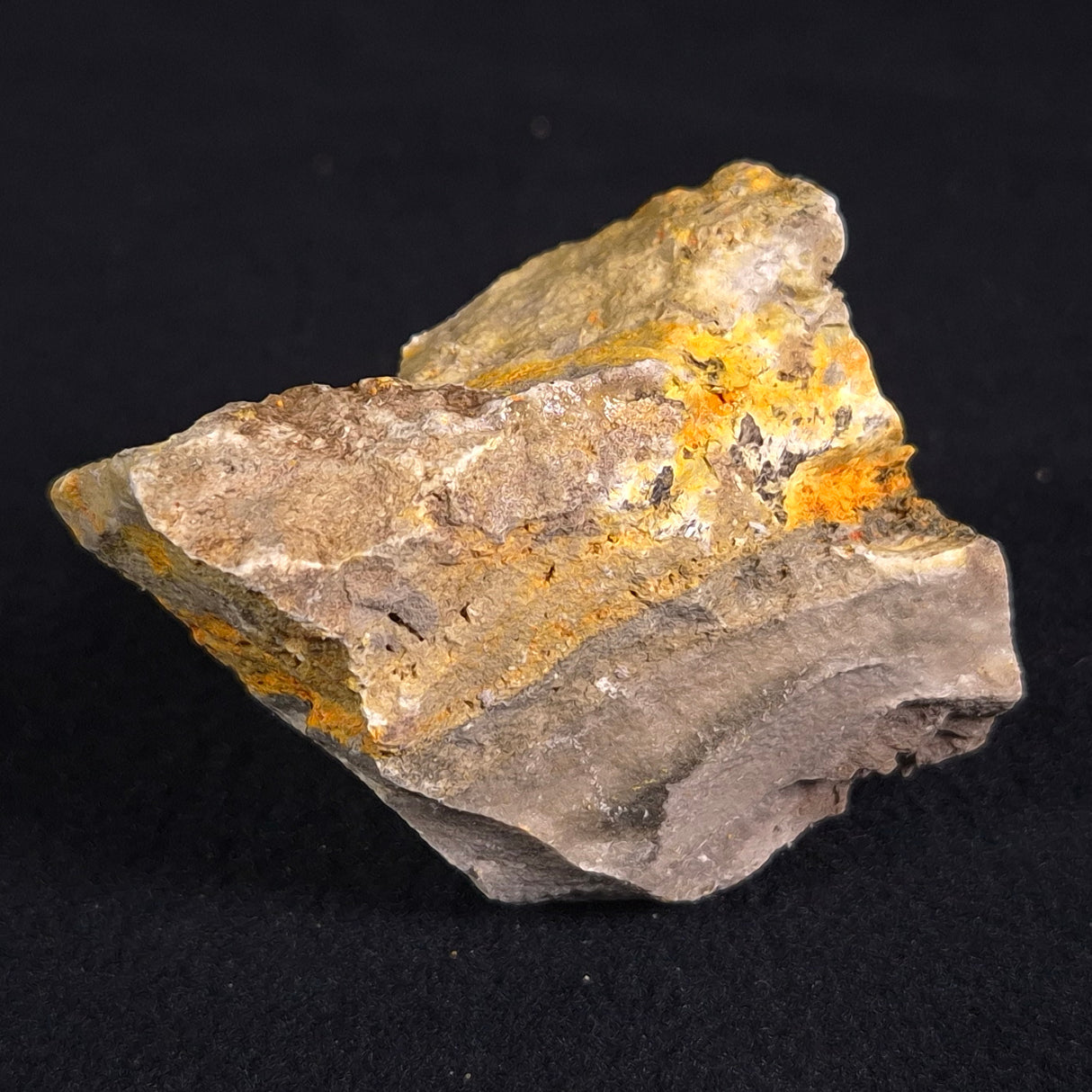 BUMBLEBEE JASPER, Indonesia XBJ001