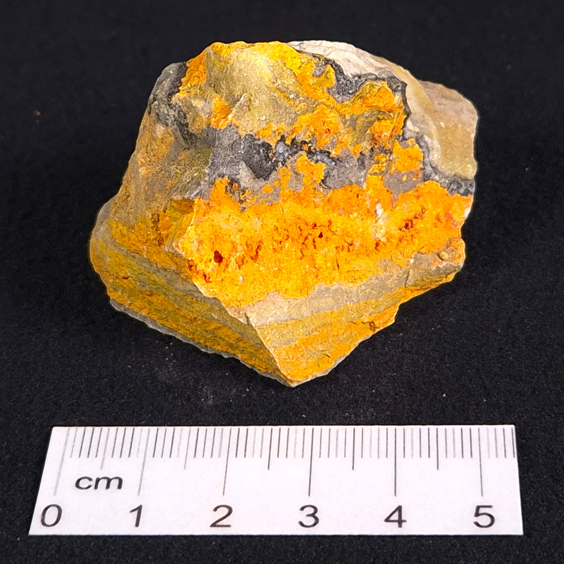 BUMBLEBEE JASPER ROUGH, INDONESIA XBJ003