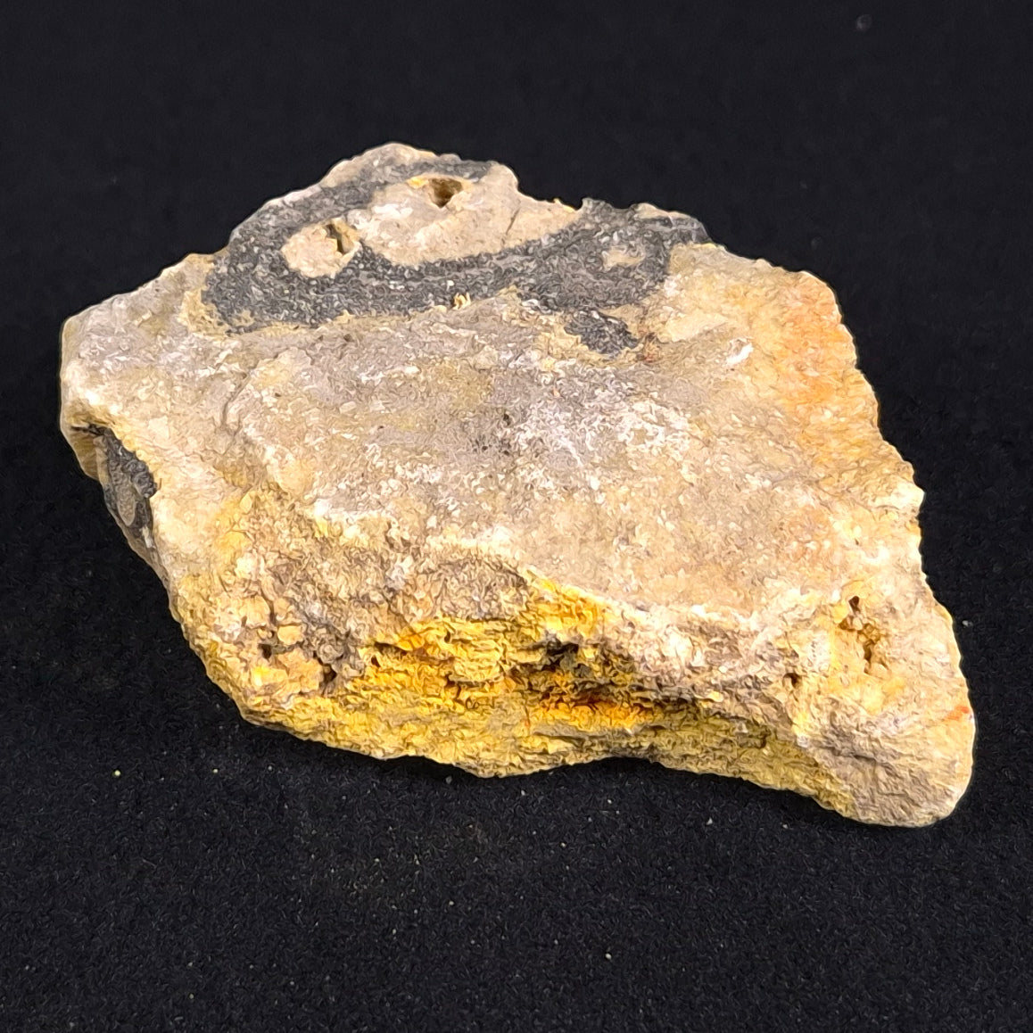 BUMBLEBEE JASPER, Indonesia XBJ004