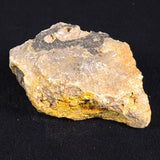 BUMBLEBEE JASPER, Indonesia XBJ004