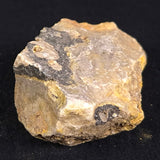BUMBLEBEE JASPER, Indonesia XBJ004