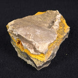 BUMBLEBEE JASPER, Indonesia XBJ005