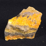 BUMBLEBEE JASPER, Indonesia XBJ006