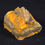 BUMBLEBEE JASPER, Indonesia XBJ006