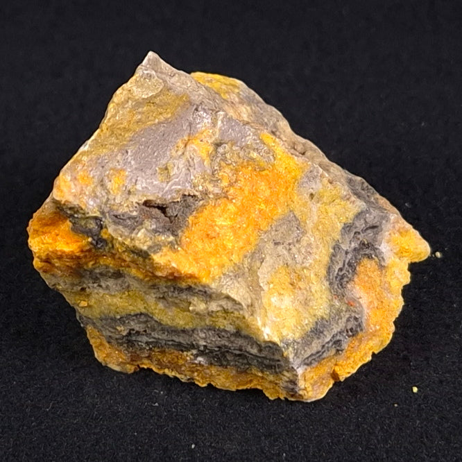 BUMBLEBEE JASPER, Indonesia XBJ006