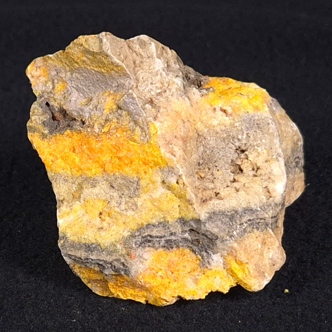 BUMBLEBEE JASPER, Indonesia XBJ006