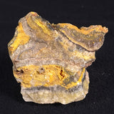 BUMBLEBEE JASPER, Indonesia XBJ008