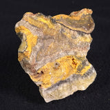 BUMBLEBEE JASPER, Indonesia XBJ008
