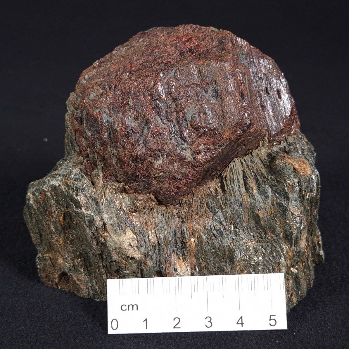Large Almandine Garnet Crystal XGC001