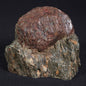 Large Almandine Garnet Crystal XGC001