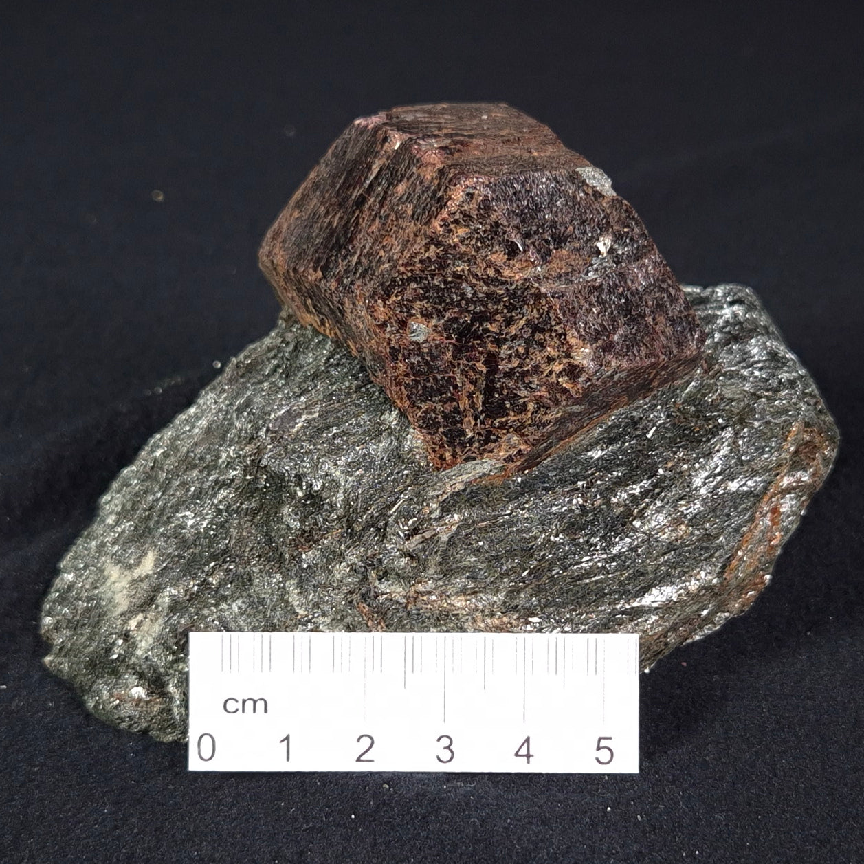 Large Almandine Garnet Crystal from Broken Hill, Australia XGC002