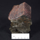 LARGE ALMANDINE GARNET ON CHLORITE SCHIST, Australia XGC004