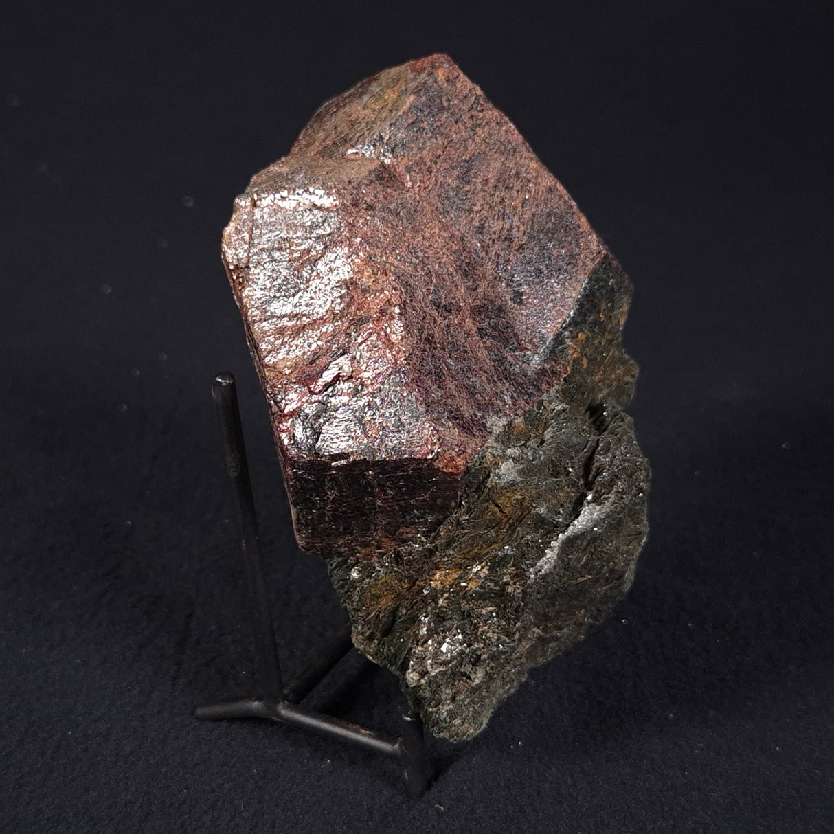 LARGE ALMANDINE GARNET ON CHLORITE SCHIST, Australia XGC004