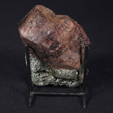 LARGE ALMANDINE GARNET ON CHLORITE SCHIST, Australia XGC004