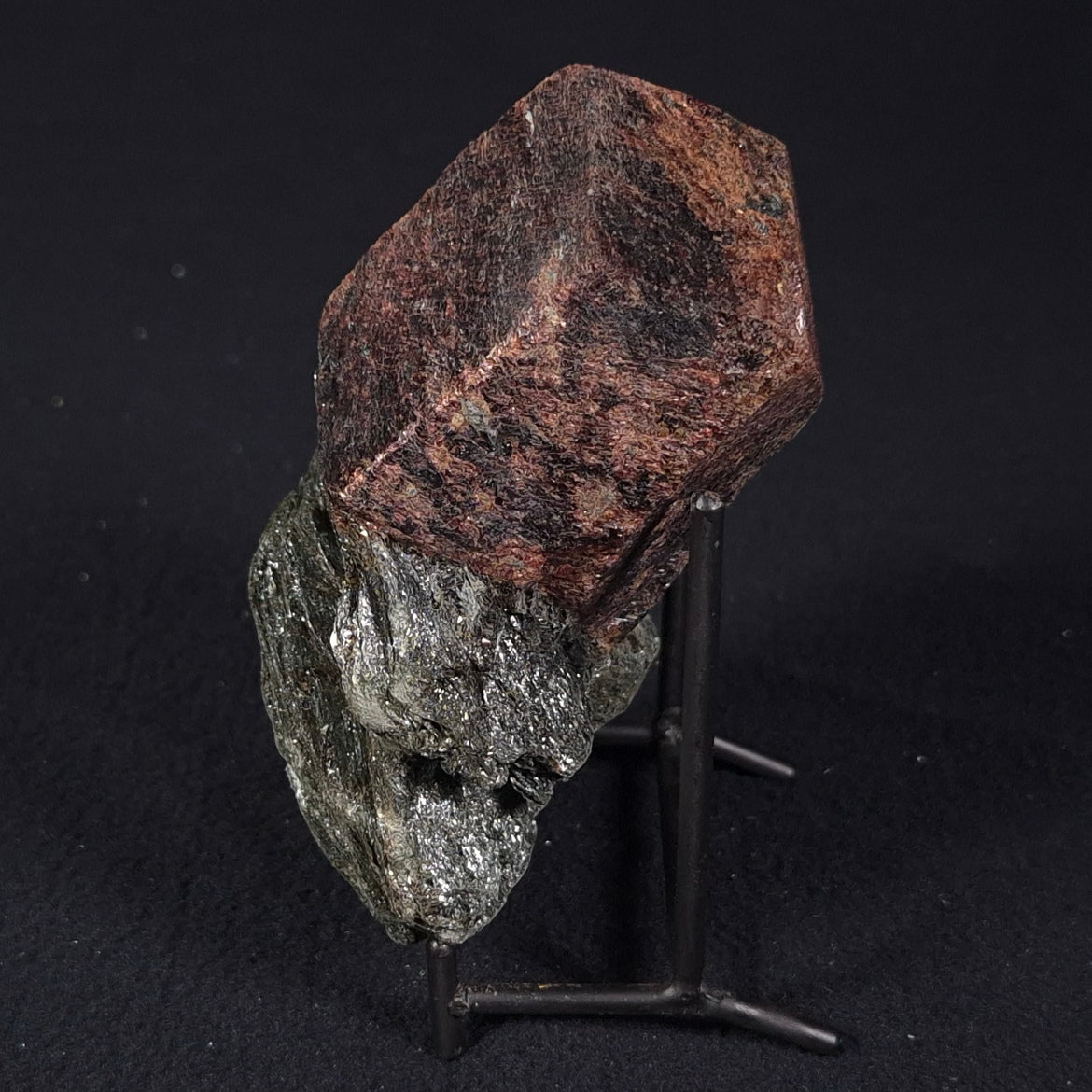LARGE ALMANDINE GARNET ON CHLORITE SCHIST, Australia XGC004