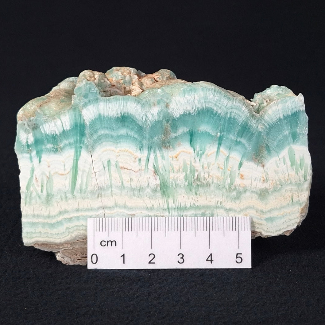 Caribbean Calcite Polished XCC013