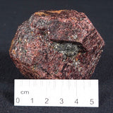 LARGE ALMANDINE GARNET ON CHLORITE SCHIST, Australia XGC008