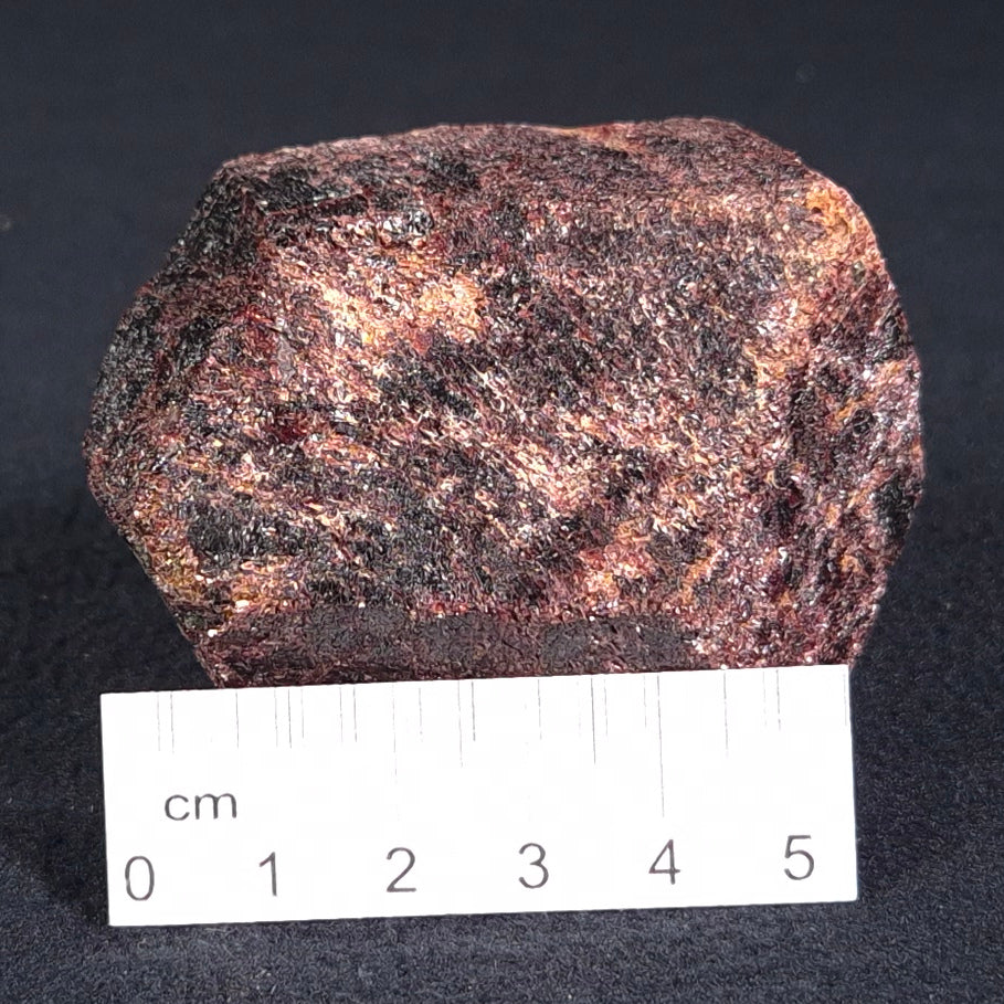 LARGE ALMANDINE GARNET ON CHLORITE SCHIST, Australia XGC009