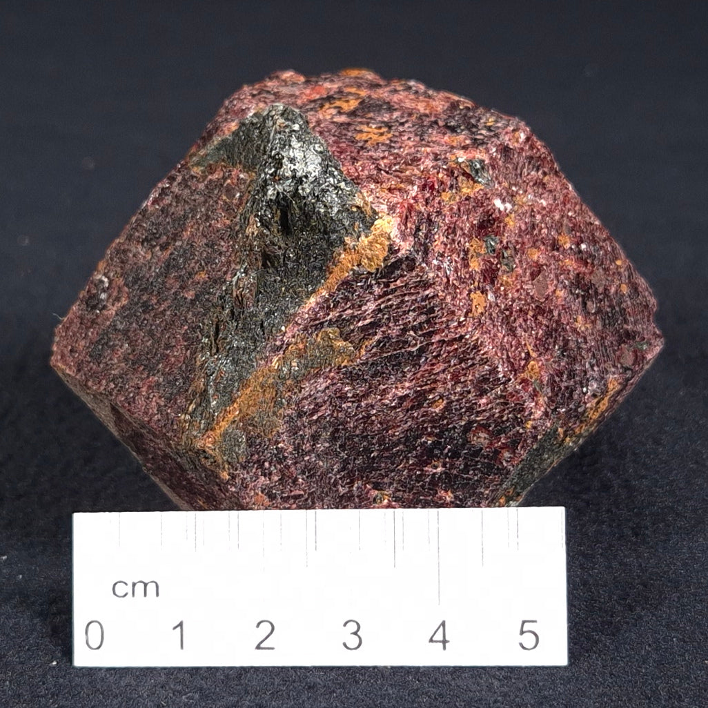 LARGE ALMANDINE GARNET ON CHLORITE SCHIST, Australia XGC011