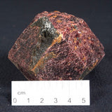 LARGE ALMANDINE GARNET ON CHLORITE SCHIST, Australia XGC011