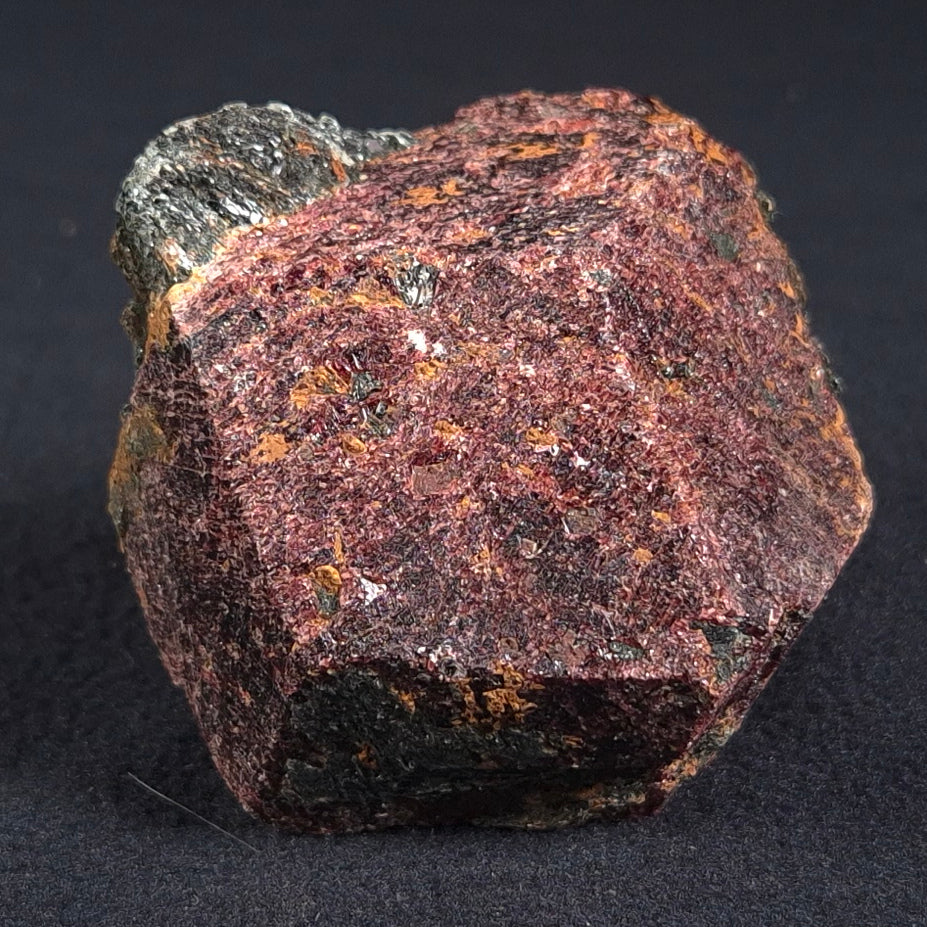 LARGE ALMANDINE GARNET ON CHLORITE SCHIST, Australia XGC011