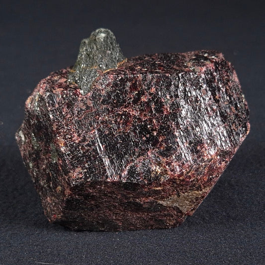 LARGE ALMANDINE GARNET ON CHLORITE SCHIST, Australia XGC012