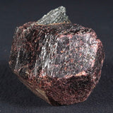 LARGE ALMANDINE GARNET ON CHLORITE SCHIST, Australia XGC012