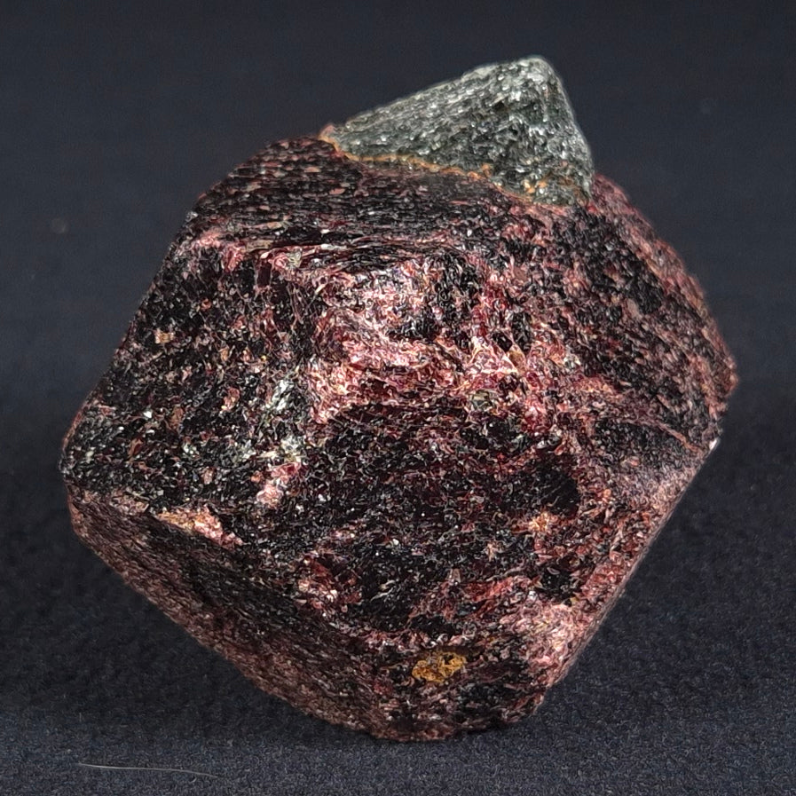 LARGE ALMANDINE GARNET ON CHLORITE SCHIST, Australia XGC012