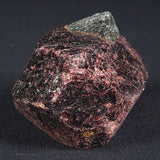 LARGE ALMANDINE GARNET ON CHLORITE SCHIST, Australia XGC012