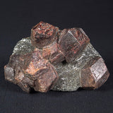 LARGE ALMANDINE GARNETS ON CHLORITE SCHIST, Australia XGC014