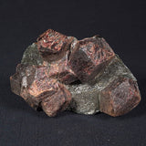 LARGE ALMANDINE GARNETS ON CHLORITE SCHIST, Australia XGC014