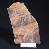 STROMATOLITE, Archean, Australia ZSL001