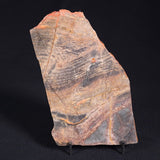 STROMATOLITE, Archean, Australia ZSL001