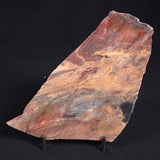 STROMATOLITE, Archean, Australia ZSL002