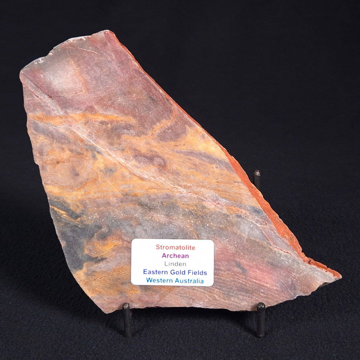STROMATOLITE, Archean, Australia ZSL002