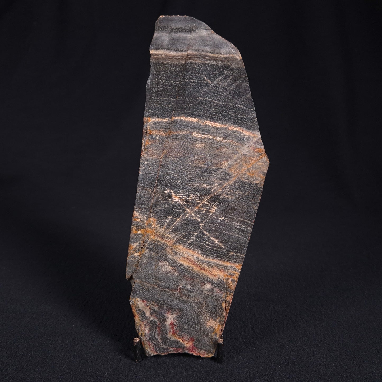 Stromatolite from Linden, Eastern Gold Fields ZSL004