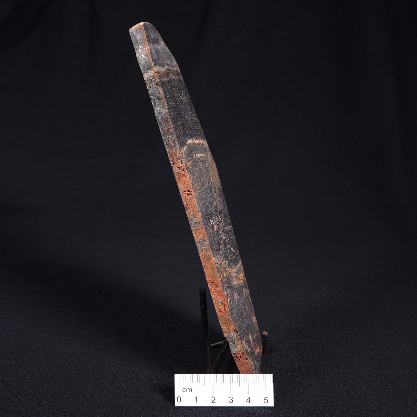 Stromatolite from Linden, Eastern Gold Fields ZSL004